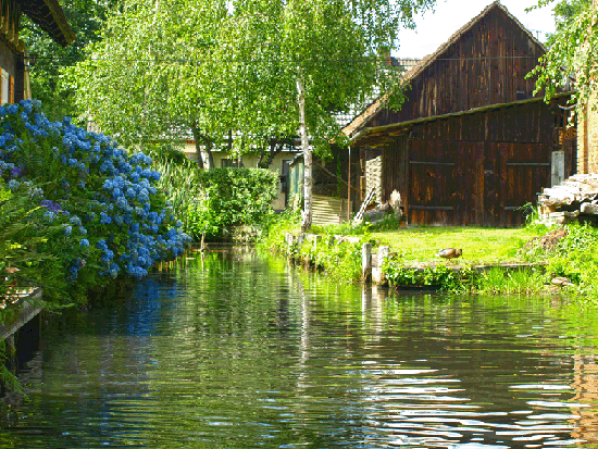 Jahresausflug Cottbus/Spreewald/Berlin 2015